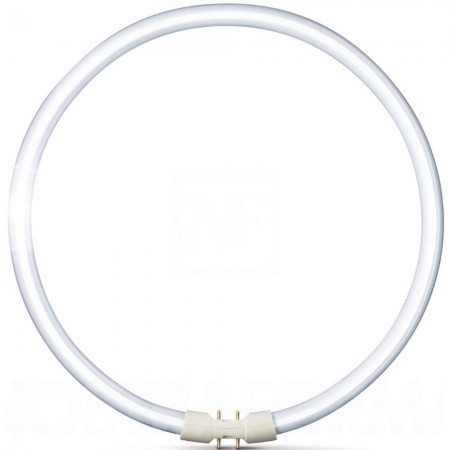 Philips Master TL5 Circular Neon 60W, 2GX13, lumina calda
