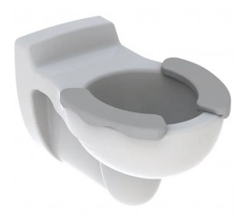 Vas WC pentru copii, suspendat Geberit Bambini 33x54 cm evacuare orizontala, alb/gri