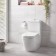 Grohe Euro Ceramic Rimless Vas WC pe pardoseala, rezervor si capac WC soft close, 38x67 cm