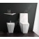 Olympia Crystal Vas WC monobloc cu rezervor aparent 42x62 cm