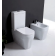 Olympia TuttoEvo Rezervor ceramic WC cu dubla actionare