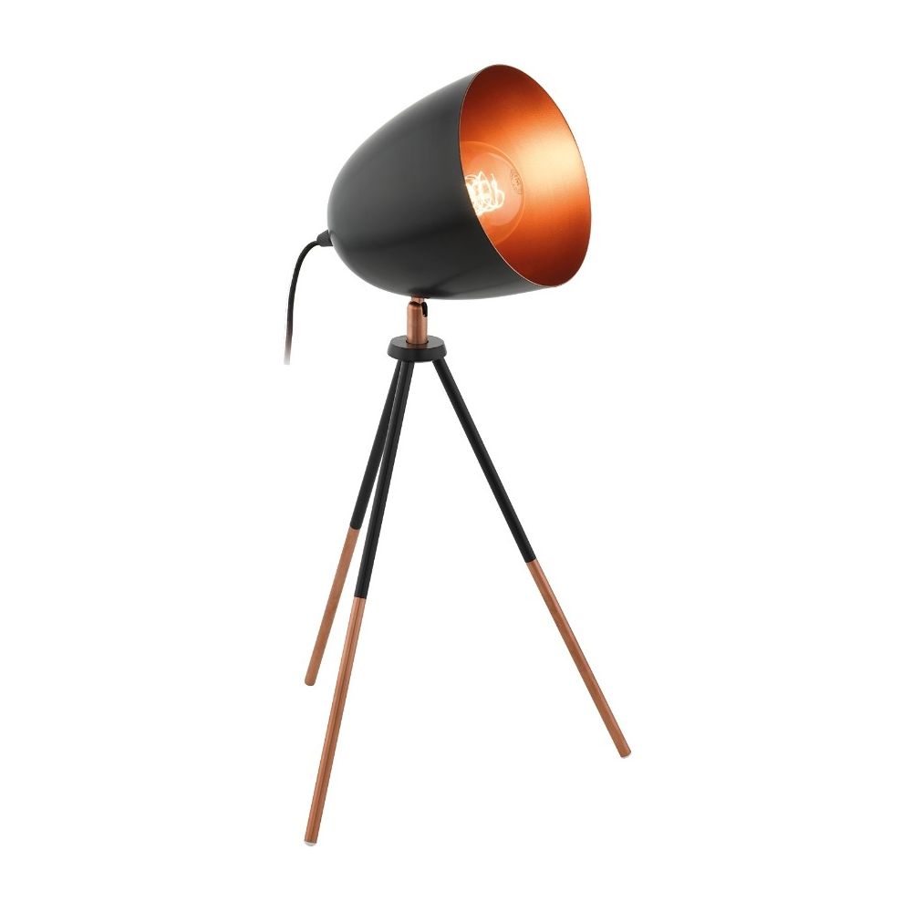 Eglo Chester Veioza 1x60W, negru main product photo