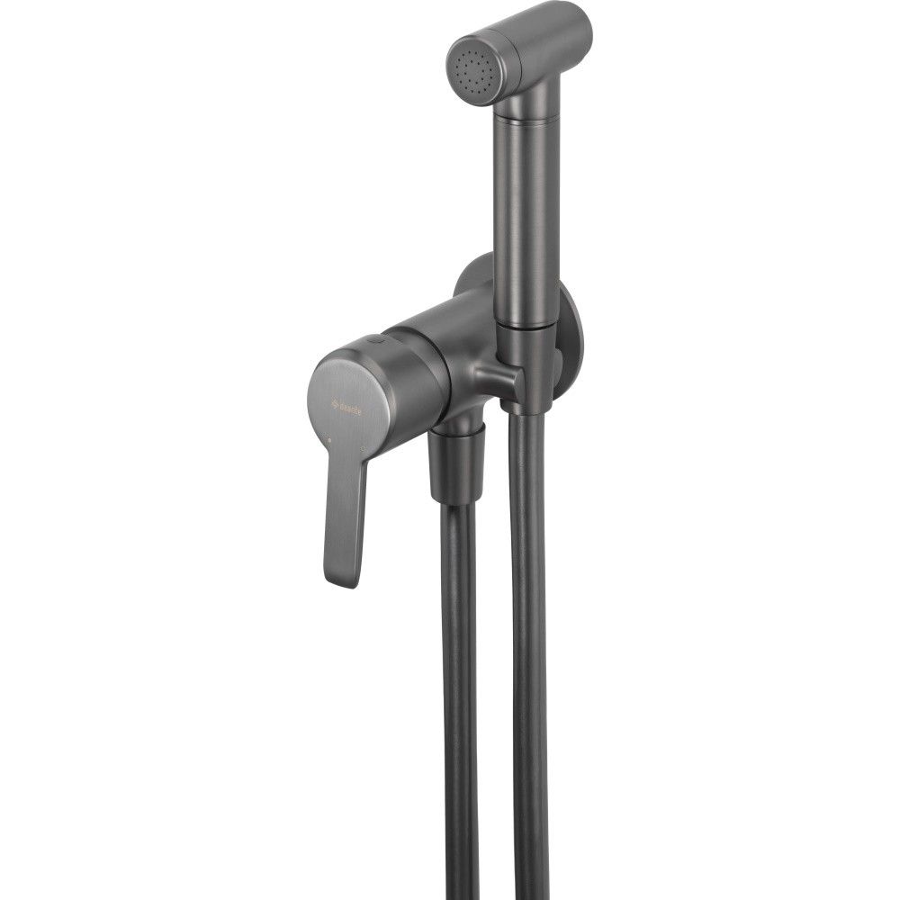 Deante Arnika Set dus igienic cu baterie incastrata, furtun si suport, antracit main product photo