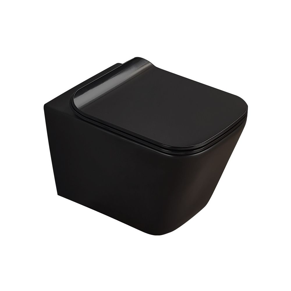 Set Vas WC suspendat cu capac soft close Fluminia Paris Rimless 37x53 cm evacuare orizontala, negru mat main product photo