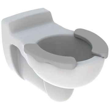 Vas WC pentru copii, suspendat Geberit Bambini 33x54 cm evacuare orizontala, alb/gri