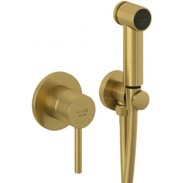 Kludi Bozz Set dus igienic cu baterie incastrata, furtun si suport, auriu periat (brushed gold)