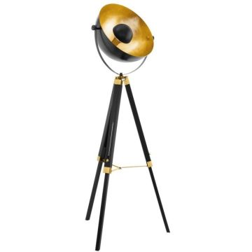 Eglo Covaleda Lampadar 1x60W, negru/auriu