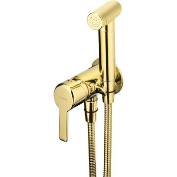 Deante Arnika Set dus igienic cu baterie incastrata, furtun si suport, auriu